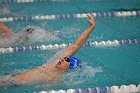 Swim vs Bentley  Wheaton College Swimming & Diving vs Bentley University. - Photo by Keith Nordstrom : Wheaton, Swimming & Diving